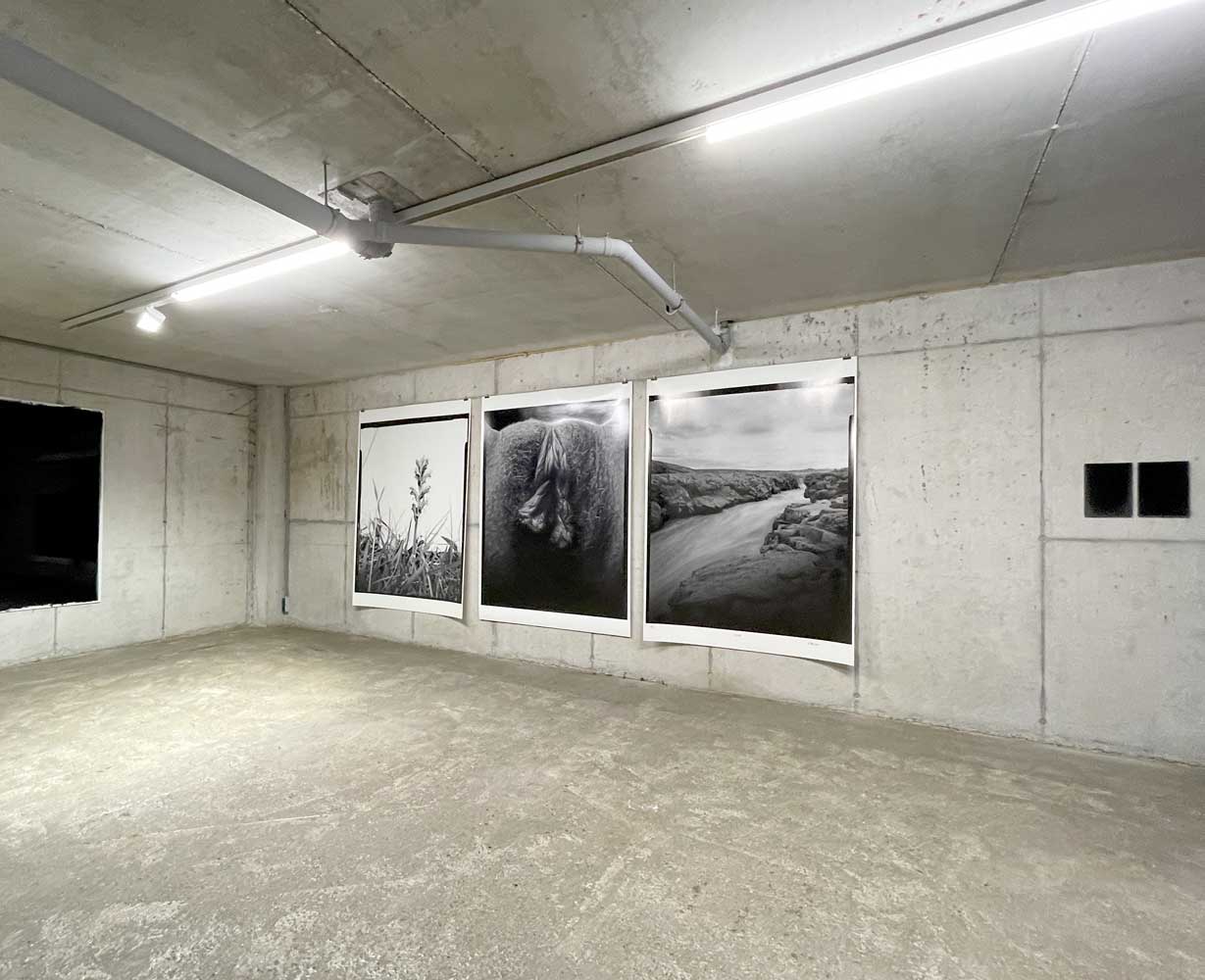 exhibition view