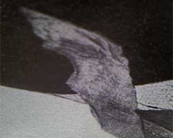 from darkness down, photographs of memories