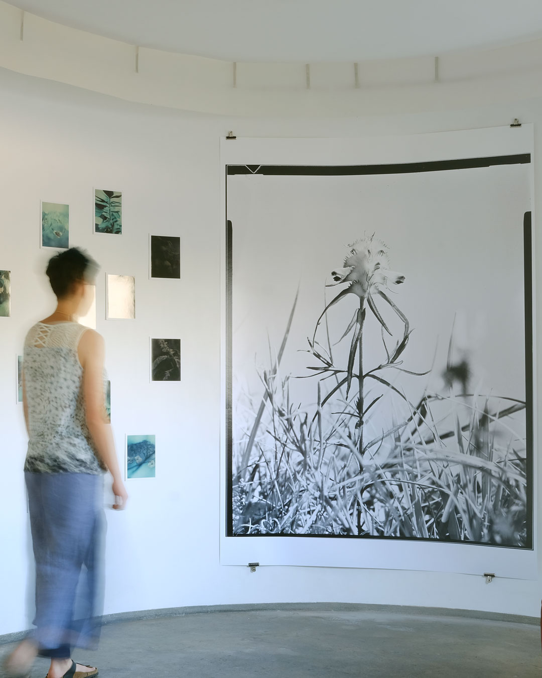 Phytosphere: exhibition view