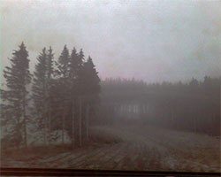 landscapes